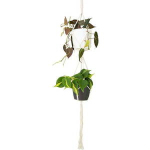 Látkový závěs na květináč ø 10 cm (výška 120 cm) Macramé – Artevasi obraz