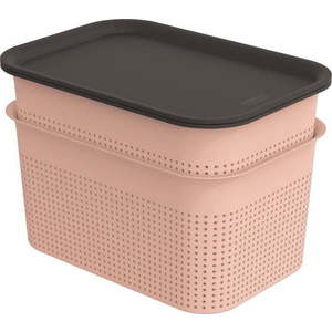 Světle růžové plastové úložné boxy s víkem v sadě 2 ks 18, 5x26, 5x18 cm Brisen – Rotho obraz