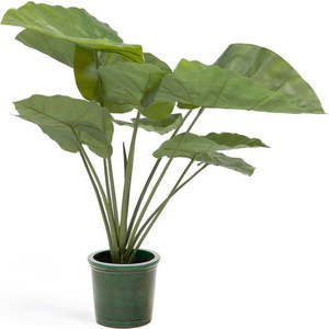 Umělá rostlina (výška 57 cm) Odora – Kave Home obraz