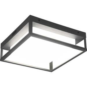 LED nástěnné venkovní svítidlo (výška 10 cm) Witham – Trio obraz