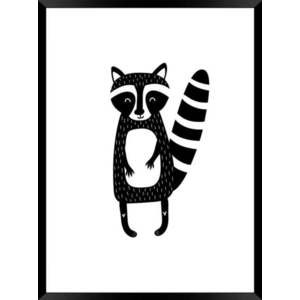 Dětský plakát Styler Modernpik Racoon, 40 x 30 cm obraz