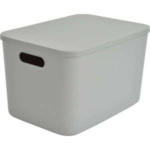 Šedý plastový úložný box s víkem 35, 5x25, 5x23 cm – Homéa obraz