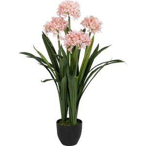 Umělá květina (výška 100 cm) Hyacinth – Ixia obraz