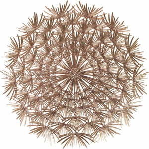 Plastové prostírání 6 ks ø 38 cm Dandelion – VDE Tivoli 1996 obraz