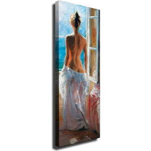 Nástěnný obraz na plátně Window, 30 x 80 cm obraz