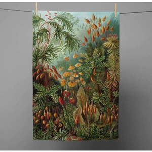 Utěrka 43x64 cm Deep Forest – Madre Selva obraz