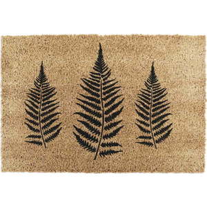 Rohožka z kokosového vlákna 40x60 cm Fern Leaf – Artsy Doormats obraz