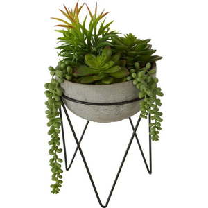 Umělý sukulent (výška 36 cm) Fiori – Premier Housewares obraz