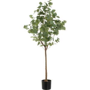 Umělá květina Eucalyptus – Casa Selección obraz
