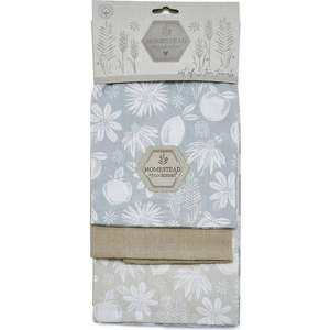 Bavlněné utěrky v sadě 3 ks 45x65 cm Homestead – Cooksmart ® obraz