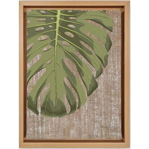 Obraz 36x46 cm Monstera – Wallity obraz