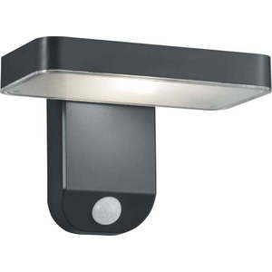 LED venkovní svítidlo se senzorem pohybu (výška 12 cm) Esquel – Trio obraz