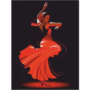 Nástěnný obraz na plátně Tango, 30 x 40 cm obraz