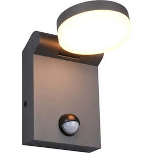 Venkovní svítidlo se senzorem pohybu (výška 19 cm) Adour – Trio obraz