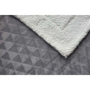 Deka z mikroplyše 150x200 cm Sherpa – Jerry Fabrics obraz