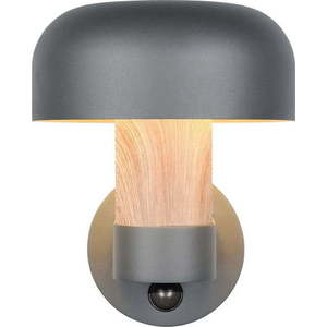 Nástěnné venkovní svítidlo (výška 24, 5 cm) Fraser – Trio obraz