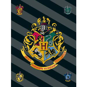 Fleecová dětská deka 100x150 cm Harry Potter – Jerry Fabrics obraz