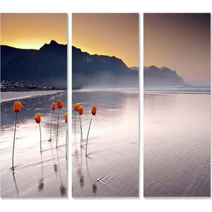 Obrazy v sadě 3 ks 20x50 cm – Wallity obraz