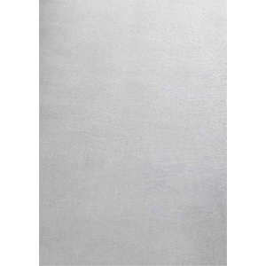 Světle šedý pratelný koberec 80x150 cm Sky – Ayyildiz Carpets obraz