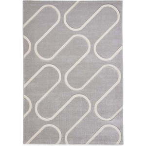 Šedý koberec 120x170 cm Linear Curve – Catherine Lansfield obraz