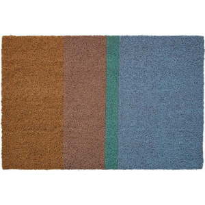Rohožka z kokosového vlákna 40x60 cm Japandi – Premier Housewares obraz