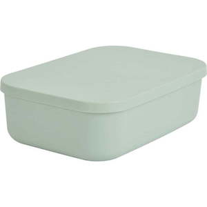 Světle zelený plastový úložný box s víkem 24x18x8 cm – Homéa obraz