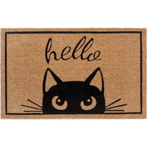 Rohožka 70x45 cm Mix Mats – Hanse Home obraz