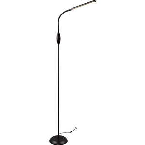 Černá LED stojací lampa (výška 145 cm) Toro – Trio obraz