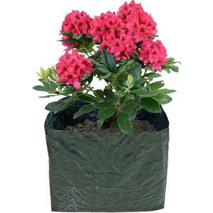 Vyvýšený záhon – Garden Pleasure obraz
