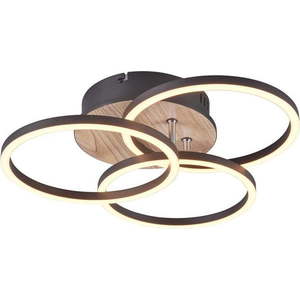Černo-hnědé LED stropní svítidlo 43x43 cm Circle – Trio obraz