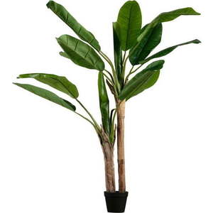 Umělý banánovník (výška 138 cm) – WOOOD obraz
