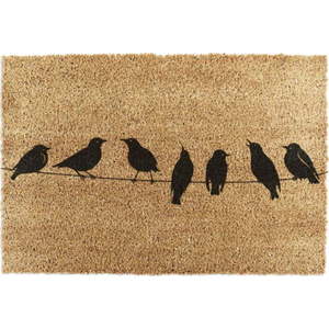 Rohožka z kokosového vlákna 60x90 cm Birds On a Wire – Artsy Doormats obraz