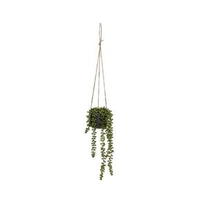 Umělá rostlina (výška 37 cm) Senecio – Casa Selección obraz