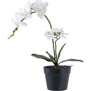 Umělá květina (výška 47 cm) Orchid – House Nordic obraz