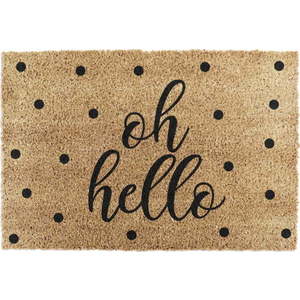 Rohožka z kokosového vlákna 40x60 cm Oh Hello – Artsy Doormats obraz