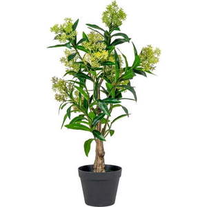 Umělá rostlina Skimmia – House Nordic obraz