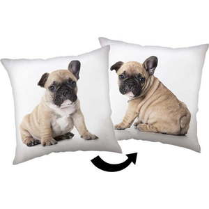 Dětský polštářek 40x40 cm Bulldog – Jerry Fabrics obraz