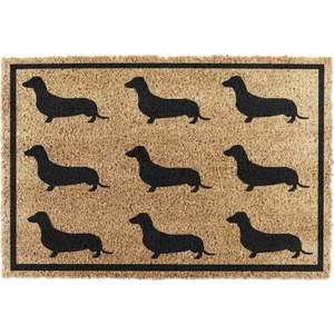 Rohožka z kokosového vlákna 40x60 cm Dachshund – Artsy Doormats obraz