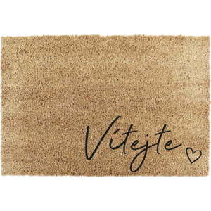 Rohožka z kokosového vlákna 40x60 cm Vítejte – Artsy Doormats obraz