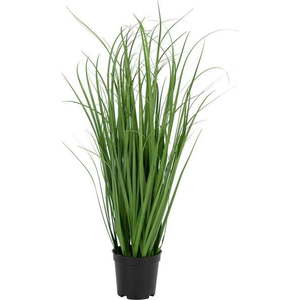 Umělá tráva (výška 68 cm) Poa – House Nordic obraz