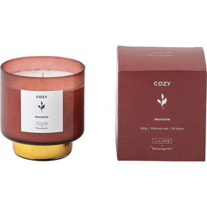 Vonná svíčka doba hoření 50 h Cozy Nectarine – ILLUME x Bloomingville obraz