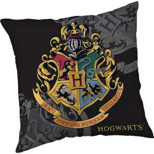 Dětský polštářek Harry Potter – Jerry Fabrics obraz