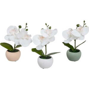 Umělé rostliny v sadě 3 ks (výška 15 cm) Orchid – Casa Selección obraz