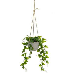 Umělá rostlina (výška 46 cm) – Casa Selección obraz