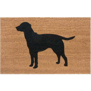 Rohožka 45x75 cm Mix Mats – Hanse Home obraz
