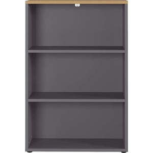 Antracitová přírodní knihovna v dekoru dubu 80x120 cm Agenda – Germania obraz
