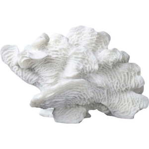 Soška z polyresinu (výška 16 cm) Coral – Mette Ditmer Denmark obraz