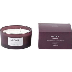 Vonná svíčka doba hoření 25 h Vintage Cedarwood – ILLUME x Bloomingville obraz