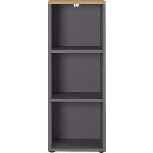 Antracitová přírodní knihovna v dekoru dubu 45x120 cm Agenda – Germania obraz