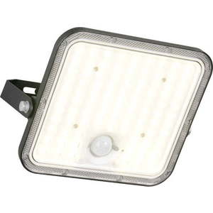 LED nástěnné solární venkovní svítidlo s časovačem (výška 19 cm) Acora – Trio obraz